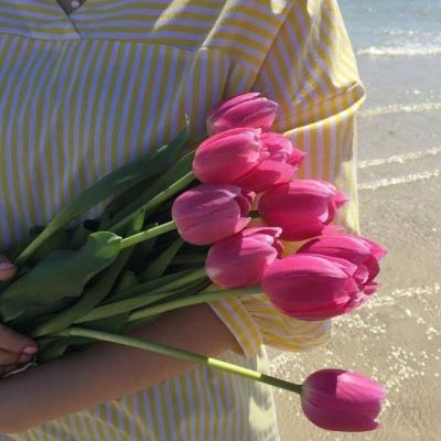 竞彩足球APP官方下载手机app下载